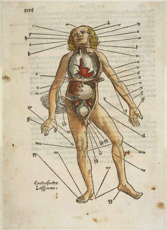 Johannes Wechtlin, Feldbuch der Wundartznei, Hans von Gersdorff, średniowiecze, medycyna, Niezła Sztuka