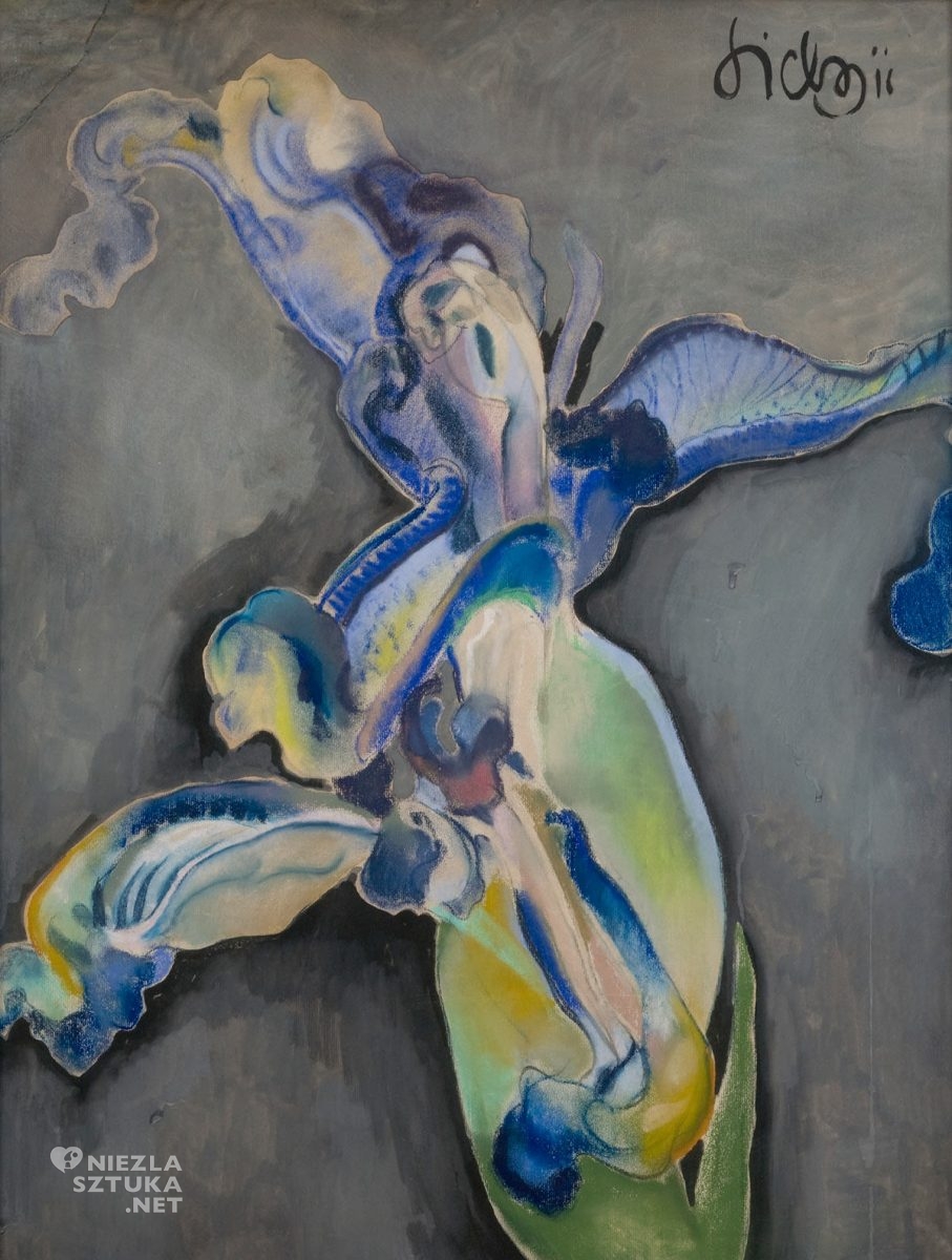 Kazimierz Sichulski, Irys, sztuka polska, kwiaty, Niezła Sztuka