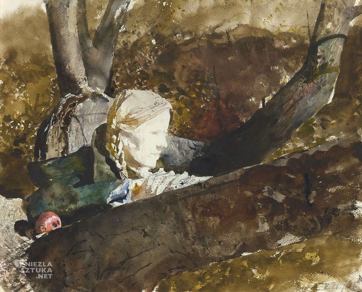 Andrew Wyeth, Helga, sztuka amerykańska, Niezła Sztuka