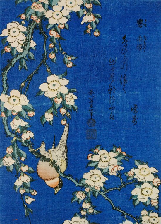 Hokusai, drzeworyt, Japonia, sztuka japońska, Niezła Sztuka
