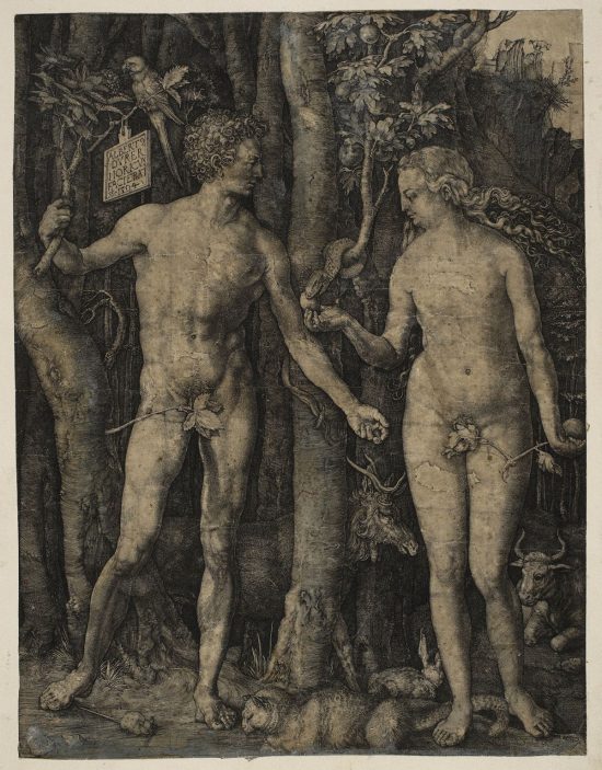 Albrecht Dürer, Adam i Ewa, grafika, scena biblijna, akt, niezła sztuka