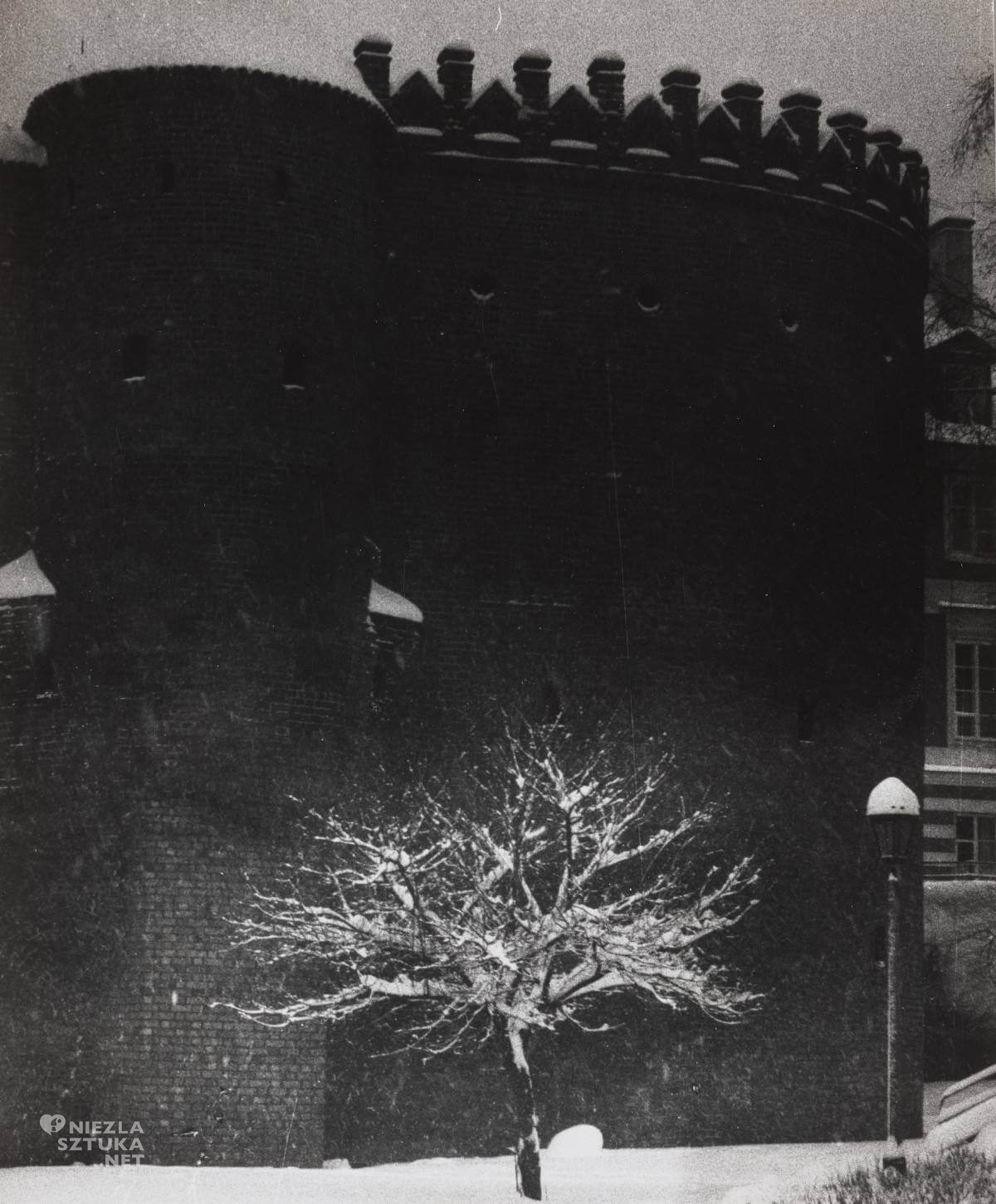 Edward Hartwig, fotografia, Warszawa, Niezła Sztuka