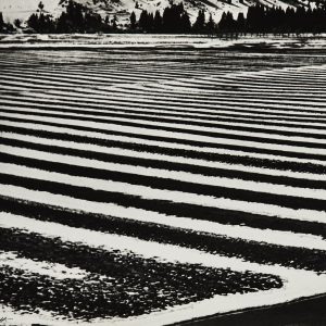 Edward Hartwig, fotografia, grafika, krajobraz, Niezła Sztuka