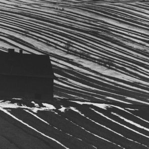 Edward Hartwig, fotografia, grafika, krajobraz, Niezła Sztuka
