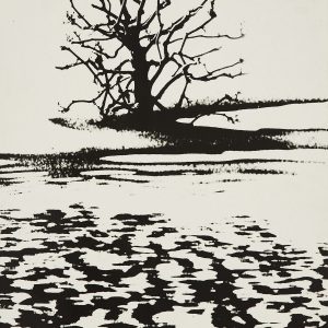 Edward Hartwig, fotografia, grafika, krajobraz, Niezła Sztuka
