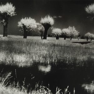 Edward Hartwig, Krajobraz mazowiecki, Żelazowa Wola, fotografia, Niezła Sztuka