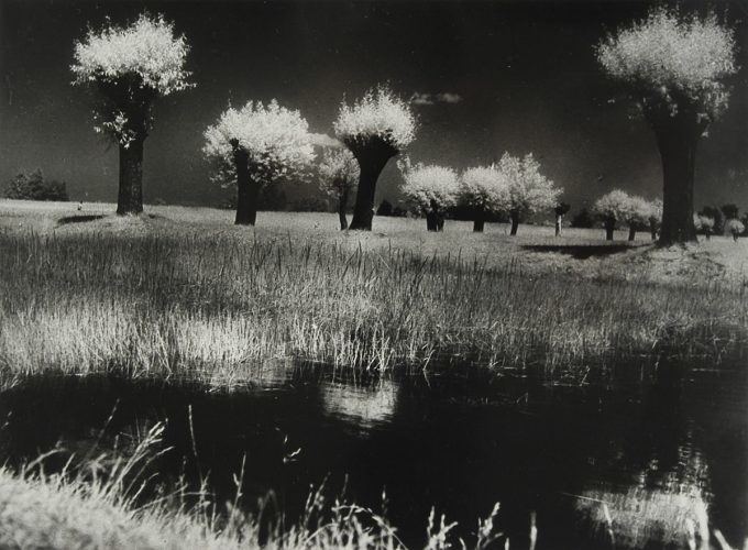 Edward Hartwig, Krajobraz mazowiecki, Żelazowa Wola, fotografia, Niezła Sztuka