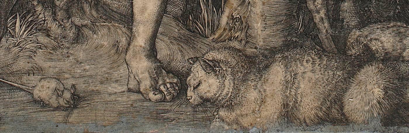 Albrecht Dürer, Adam i Ewa, detal, kot, koty w sztuce, Niezła Sztuka