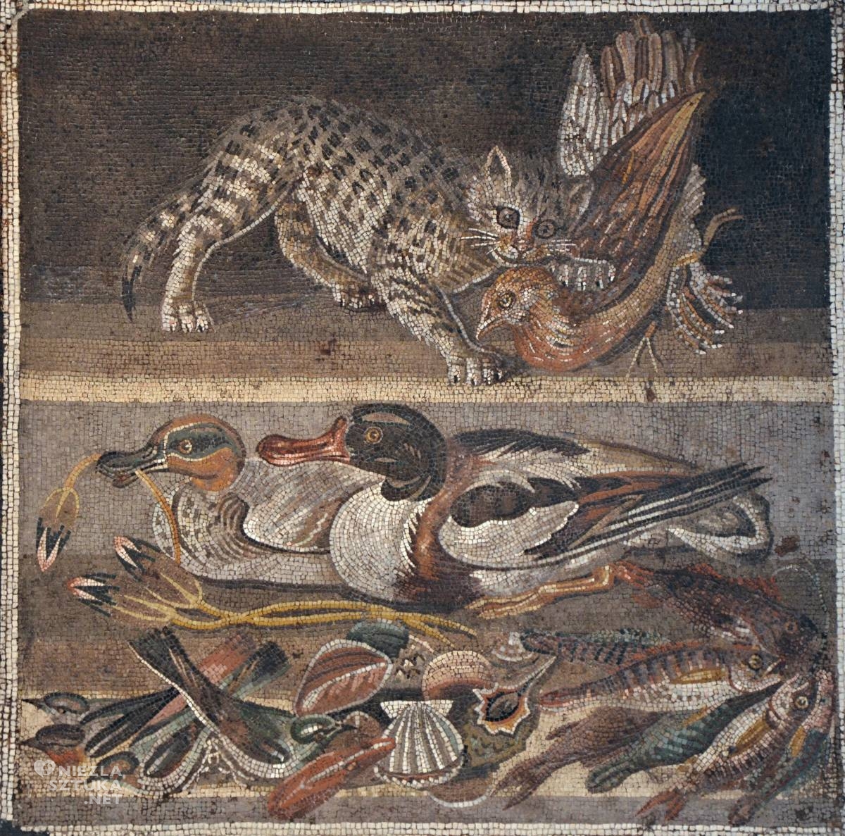 Mozaika, Dom Fauna, Pompeje, koty w sztuce, Niezła Sztuka