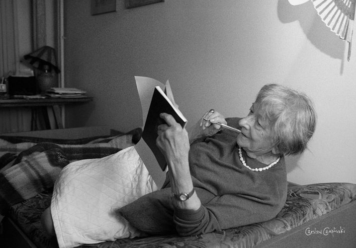 Czesław Czapliński, Wisława Szymborska, niezła sztuka