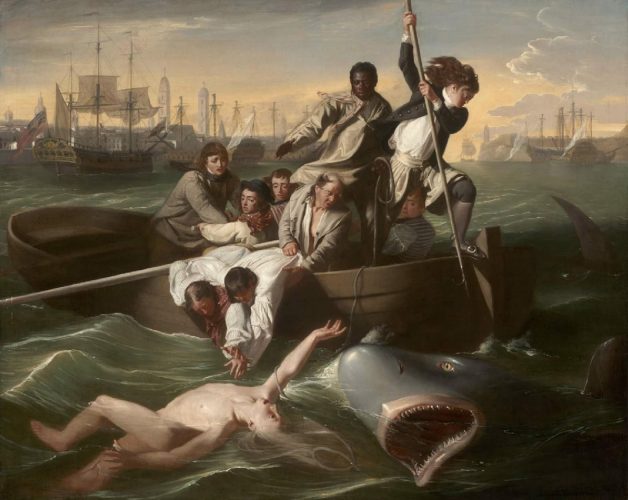 John Singleton Copley, Watson i rekin, Niezła Sztuka