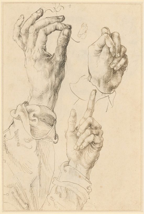 Albrecht Dürer, studium lewej dłoni, niezła sztuka