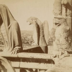 Gargulec, gargulce, katedra Notre-Dame w Paryżu, gotyk, niezła sztuka