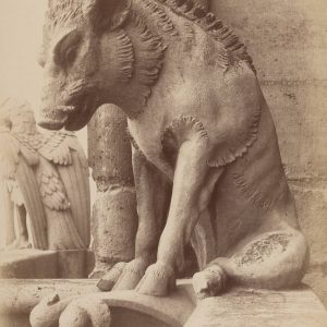 Gargulec, gargulce, katedra Notre-Dame w Paryżu, gotyk, niezła sztuka