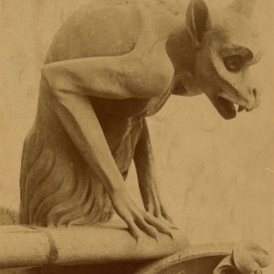 Gargulec, gargulce, katedra Notre-Dame w Paryżu, gotyk, niezła sztuka