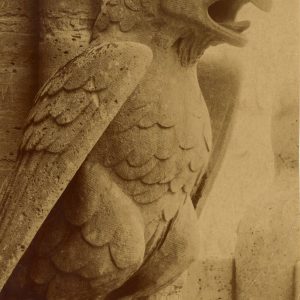 Gargulec, gargulce, katedra Notre-Dame w Paryżu, gotyk, niezła sztuka