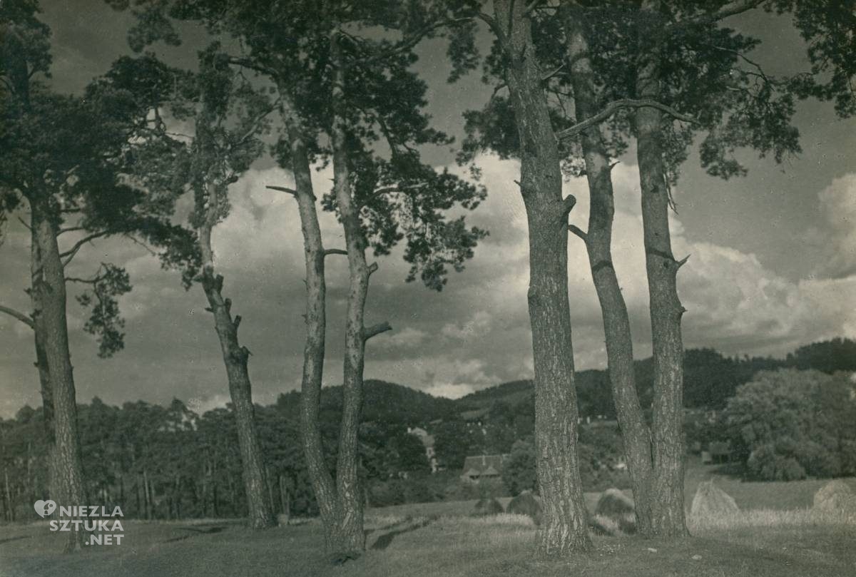 Jan Bułhak, Strugi Wilij koło Tuskulan, fotografia, Niezła Sztuka