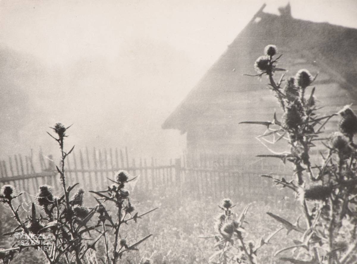 Jan Bułhak, Krajobraz z ostami, fotografia, Niezła Sztuka