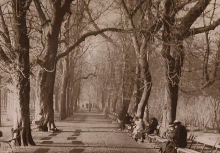 Jan Bułhak, Aleja w Ogrodzie Saskim, fotografia, Niezła Sztuka
