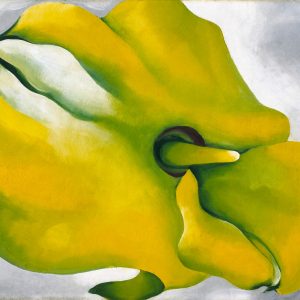 Georgia O'Keeffe, Yellow Calla, żółta kalia, kwiaty, kwiaty w malarstwie, amerykańska artystka, amerykańska sztuka, kobiety w sztuce, malarka, Niezła Sztuka