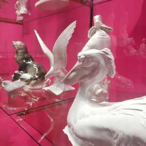 kassel, miśnia, drezno, Niezła Sztuka