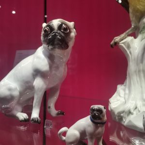 kassel, miśnia, drezno, Niezła Sztuka