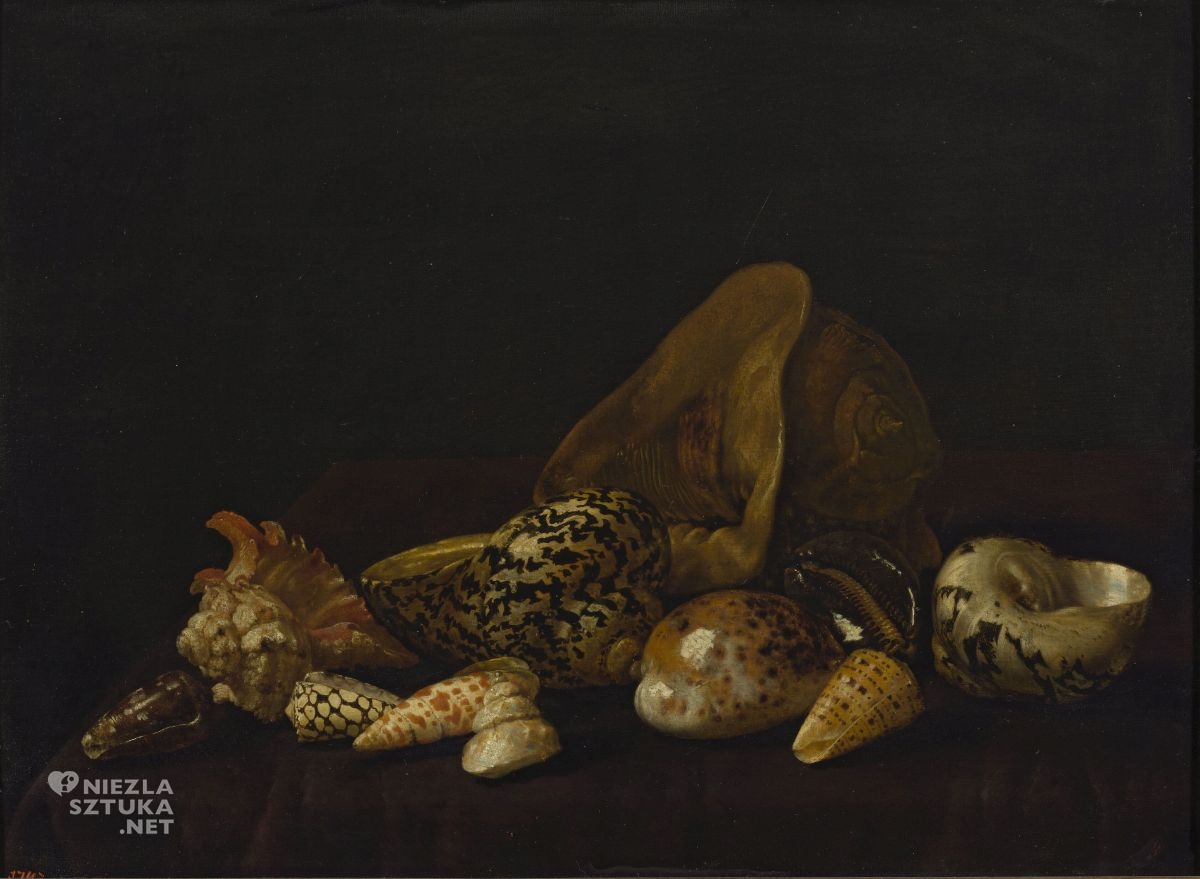 Abraham Pietersz. van Calraet, martwa natura, martwa natura z muszlami, niezła sztuka