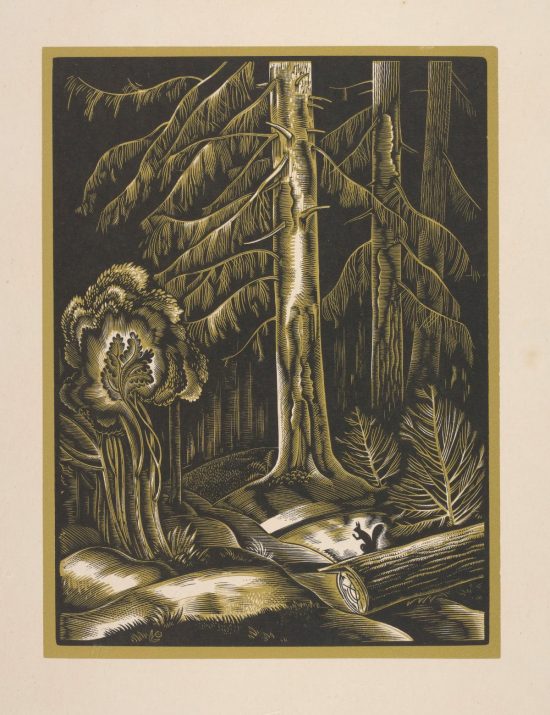 Stanisław Ostoja-Chrostowski, Las z wiewiórką II, sztuka polska, Niezła Sztuka