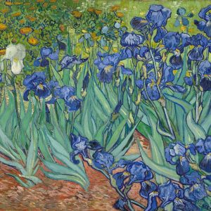 Vincent van Gogh, Irysy, Niezła Sztuka