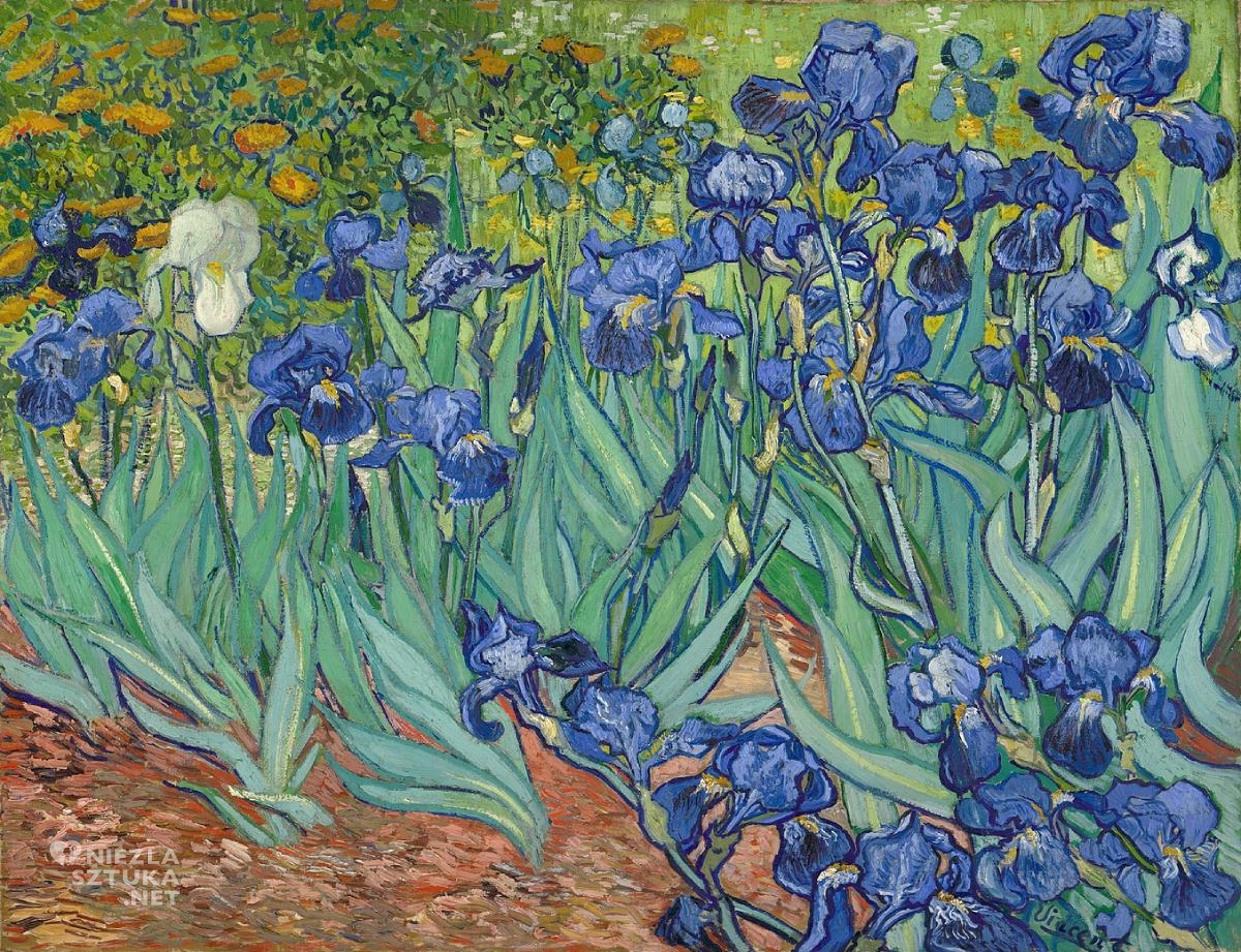 Vincent van Gogh, Irysy, Niezła Sztuka