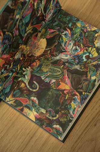 Olaf Hajek, Medicine, Wearmedicine, moda, ilustrator, ubrania ze sztuką, niezła sztuka