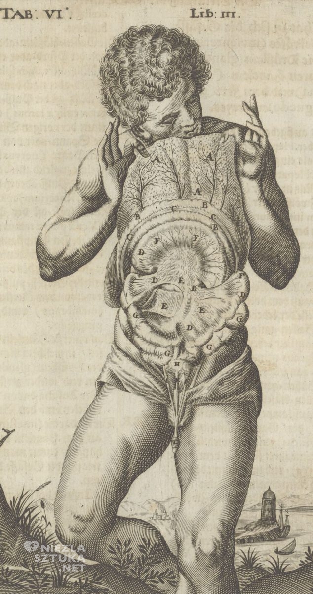 Giulio Cesare, Anatomische Tafeln, niezła sztuka
