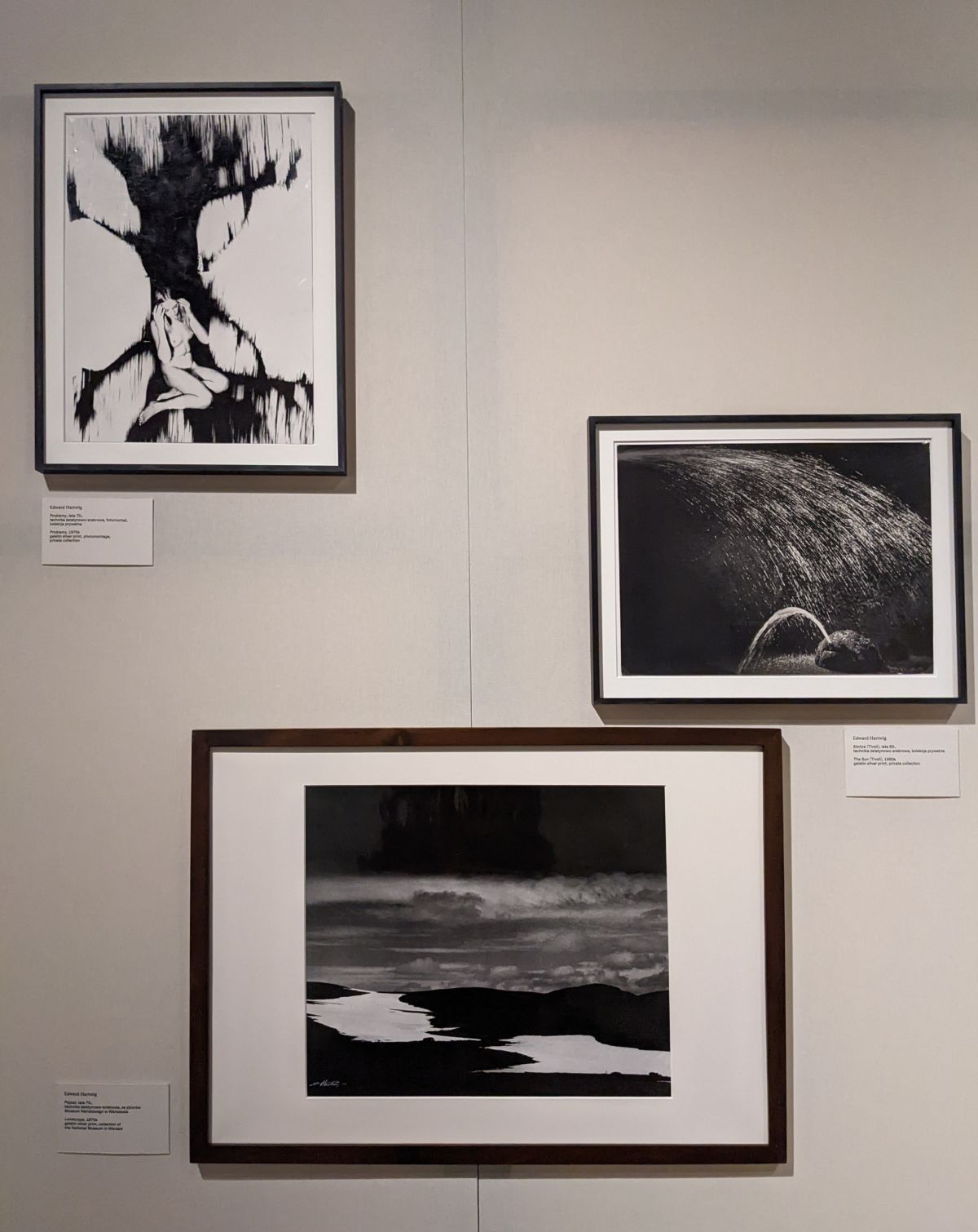 wystawa, mufo, muzeum fotografii w Krakowie, fotografika, niezła sztuka