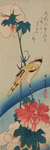 Utagawa Hiroshige, Ptak żółty zimorodek na gałązce róży chińskiej, drzeworyt, sztuka japońska, ukiyo-e, Niezła Sztuka