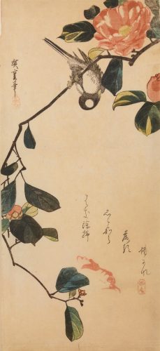 Utagawa Hiroshige, Sikorka na gałązce kwitnącej kamelii, drzeworyt, sztuka japońska, ukiyo-e, Niezła Sztuka
