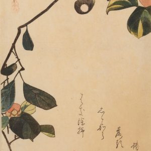Utagawa Hiroshige, Sikorka na gałązce kwitnącej kamelii, drzeworyt, sztuka japońska, ukiyo-e, Niezła Sztuka