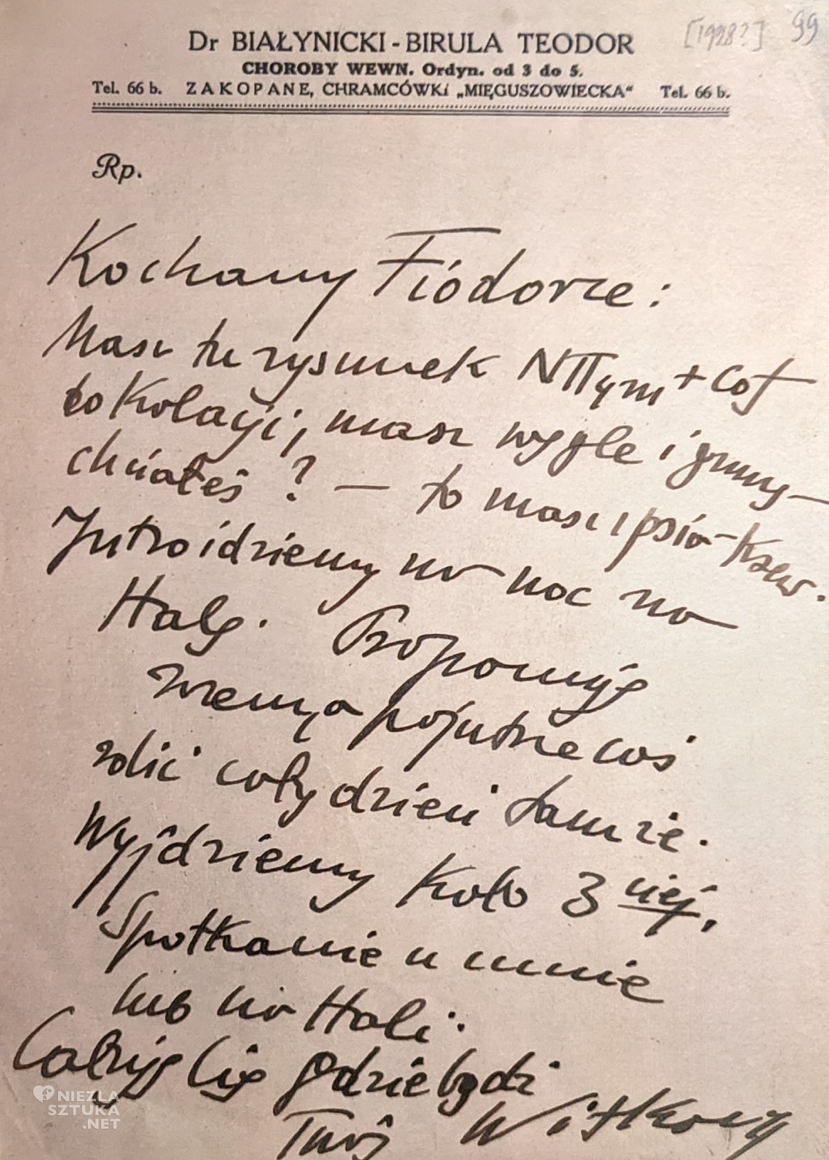 Stanisław Ignacy Witkiewicz, Witkacy, list, Teodor Białynicki-Birula, niezła sztuka