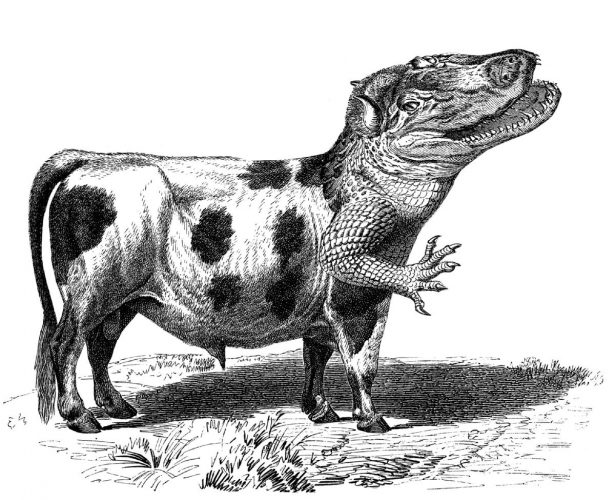 Daniel Mróz, Bykodyl, Zwierzydełka, Robert Stiller, mocak, ilustracja, niezła sztuka