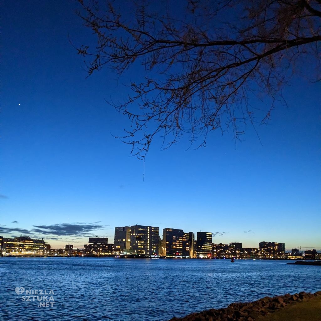 relacja z wystawy, wystawa Vermeera w Amsterdamie, Rijksmuseum, Amsterdam, Vermeer, niezła sztuka