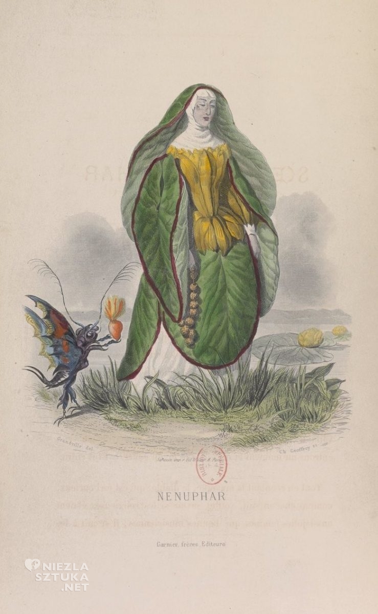 Grandville, nenufar, Les fleurs animées, żywe kwiaty, kostium, niezła sztuka