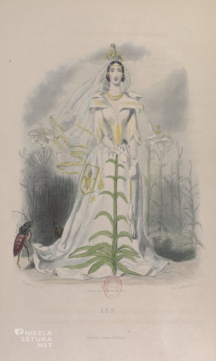 Grandville, lilia, Les fleurs animées, żywe kwiaty, kostium, niezła sztuka