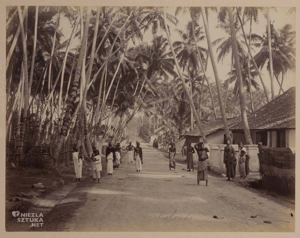 Cejlon, Ceylon, Indie, Julian Fałat, Fałat wyprawa na Cejlon, niezła sztuka