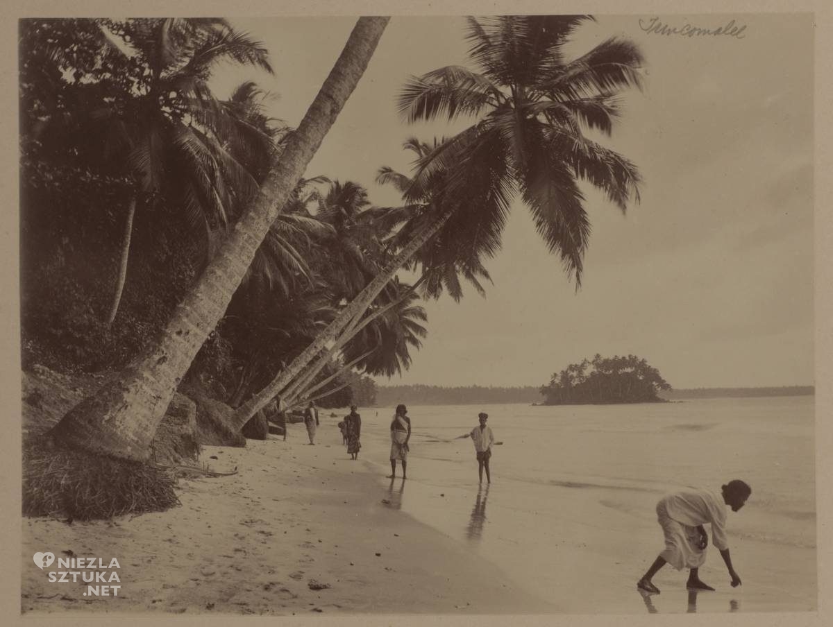 Cejlon, Ceylon, Indie, Julian Fałat, Fałat wyprawa na Cejlon, niezła sztuka