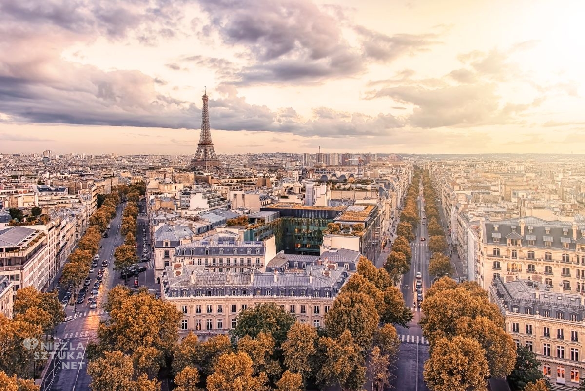Paryż, Wieża Eiffla, krajobraz, panorama, dachy, Niezła Sztuka