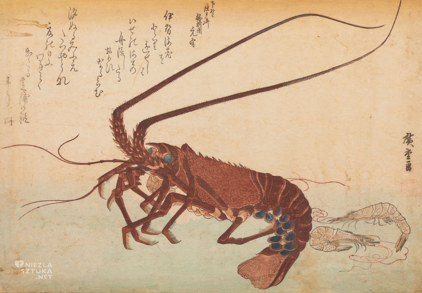 Utagawa Hiroshige, langusta i krewetki, grafika artystyczna, drzeworyt, sztuka, sztuka japońska, ukiyo-e, drzeworyty japońskie, niezła sztuka