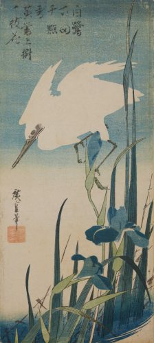 Utagawa Hiroshige, Biała lecąca czapla i niebieskie irysy, grafika artystyczna, drzeworyt, sztuka, sztuka japońska, niezła sztuka