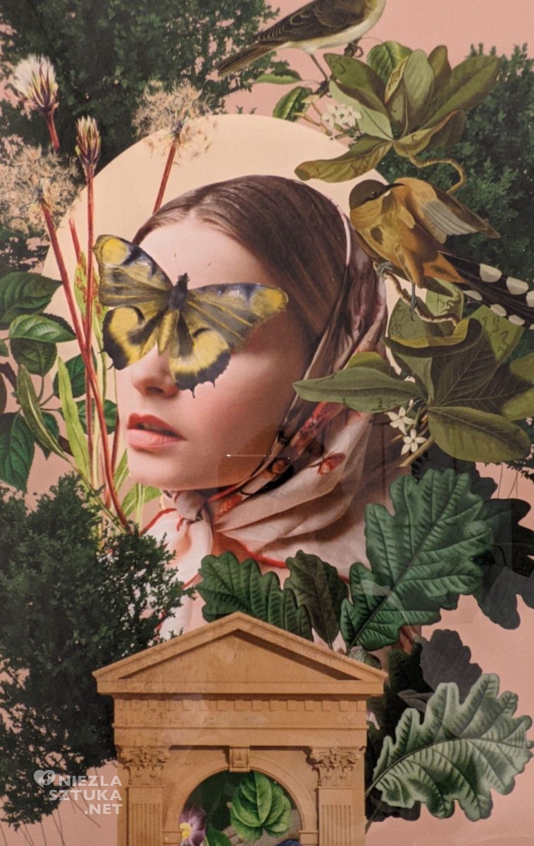 Plantonia, aparthotel, Kraków, niezła sztuka