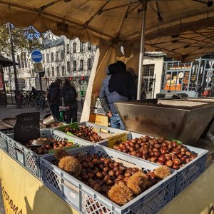 Relacja z Paryża, Paryż, wystawy w Paryżu, muzea w Paryżu, sztuka francuska, niezła sztuka