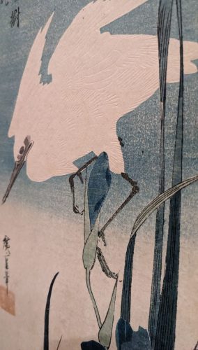 Utagawa Hiroshige, Biała lecąca czapla i niebieskie irysy, grafika artystyczna, drzeworyt, sztuka, sztuka japońska, niezła sztuka