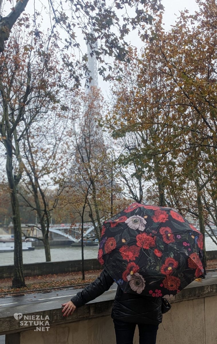 Relacja z Paryża, parasol, Medicine, deszczowy dzień, Paryż, wystawy w Paryżu, muzea w Paryżu, niezła sztuka